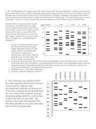 Also, genetic fingerprinting is thought to be. Dna Fingerprinting Paternity Worksheet Dna Fingerprinting Paternity Worksheet Name 1 The Dna Fingerprints Were Made From Blood Samples Taken From A Puppy