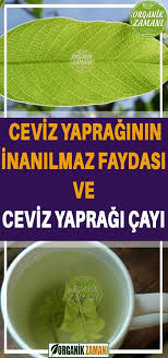 Pin By Pervin On Saglik Healthy Food Fruit
