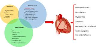 Moreover, myocarditis is a diagnosis of exclusion. A Review Of Cardiac Manifestations And Predictors Of Outcome In Patients With Covid 19 Heart Lung The Journal Of Cardiopulmonary And Acute Care