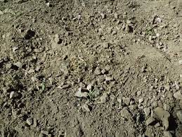 This is a tutorial which is written in a form of questions and answers. How Far Down Do I Need To Dig When Sifting Out Rocks From A Garden Gardening Landscaping Stack Exchange