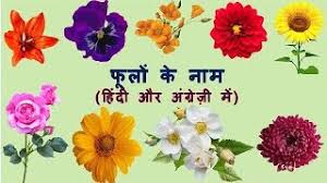 Flowers name in hindi|सभी फूलों के नाम हिंदी में।list of flower names english to hindi. Free Flower In Hindi Name Watch Online Khatrimaza