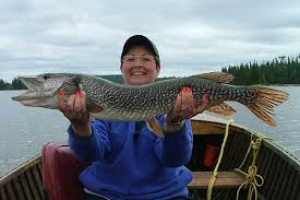 Northern Pike Fishing Erringtons Wilderness Island