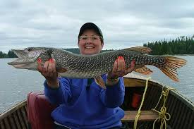 Northern Pike Fishing Erringtons Wilderness Island