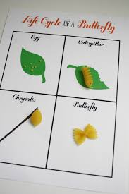 Printable Life Cycle Of A Butterfly Activity Glue Different Kinds Of Pasta For Each Cycle Teaching Pinterest
