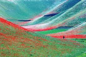 Spring In Afghanistan Spring Scenery Pictures Photo