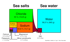 5 salinity