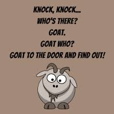 They've got a structure that's easy to remember and deliver, and the punchline incorporates the kind of. Jokes For Kids 104 Of The Best Knock Knock Jokes To Make Them Laugh