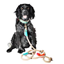 Maybe you would like to learn more about one of these? Binck Dog Leash S Dog With A Mission