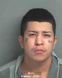 MONTGOMERY COUNTY JAIL BOOKINGS FOR NOVEMBER 13, 2020