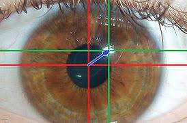How do pir motion detectors work? Eye Tracking Wikipedia