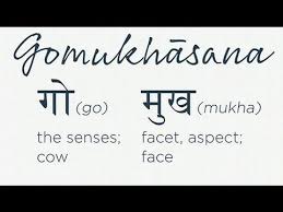 Gomukhasana Discover The Deeper Meaning Behind The Pose Yoga International Sanskrit Names Meant To Be Poses