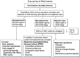Image result for Isolated Proteinuria