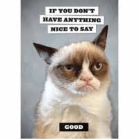 Funny cat memes for kids clean. If You Don T Have Anything Nice To Say Good Kids Always Be Nice To Each Other Lol Grumpycat Mean Nice Kitty Tartarsauce Funny Clean Funnyclean Memes Funnymemes Cleanmemes Kitties Meme On