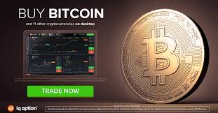 Since its launch, coinbase has become the trusted digital currency wallet and platform to buy, sell and trade bitcoin and other cryptocurrencies. Trading With Bitcoin Or Cryptocurrencies The Guide