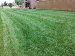 Get info on j&p lawn care. Lawn Boy Services Amarillo Lawn And Tree Care Service