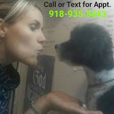 Robin's Dog Grooming updated their profile picture.