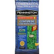 Pennington 5 Lbs Tifblair Centipede Grass Seed Overseeds Up To 2000 Sq Ft Centipede Grass Seed Centipede Grass Grass Seed