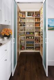 A vertical spice rack that fits perfectly on your pantry door. 45 Gorgeous Walk In Kitchen Pantry Ideas Photos Home Stratosphere