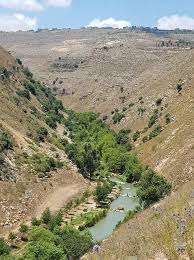 وادي كفرصير حيث يمر نهر الليطاني جنوب لبنان River Water Outdoor
