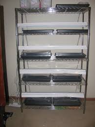 Aug 12, 2019 · to grow dragon fruit from seed, slice a dragon fruit in half and use a spoon to scrape out some seeds. The Harried Homemaker Preps Diy Seed Starting Set Up