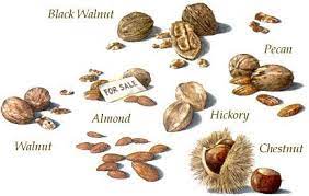 Growing Nuts For Food And Profit Homesteading And Livestock Mother Earth News Growing Fruit Trees Organic Gardening Pest Control Organic Gardening Tips