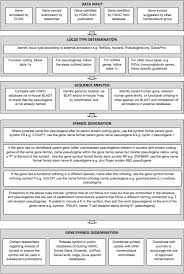 Gene Naming Flowcharts Hugo Gene Nomenclature Committee