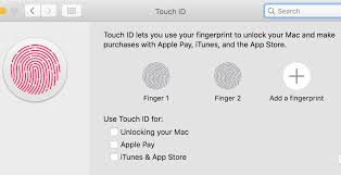 I was surfing on the ipad last night and for some reason the screen locked. Delay Freeze Accessing Saved Passwords In Safari On Macbook Pro With Touch Id Macambulance Affordable Apple Mac Windows Support And Web Development For Brighton Sussex
