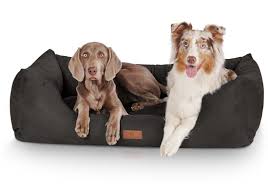Vor allem, wenn wir mit ihnen das bett teilen. Knuffelwuff Tierbett Hundebett Dreamline Antiallergisch Online Kaufen Otto Hunde Bett Hund Sofa Hunde Kissen