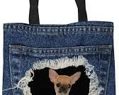 dog and owner with a shopping bagの画像