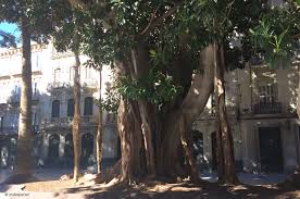 Musik darksite wieder einmal führte das große treffen nach spanien cartagena, murcia, valle di ricotte, lorca, u.v.m. Cartagena Spanien Buchen Bei Kreuzfahrten De Meer Erleben