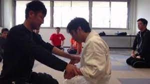 shintaidojin dojo videos you videos