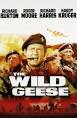 Wild Geese