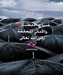 صباح اﻷمطار واﻷماني المحققة بإذن الله تعالى Words Of Wisdom Funny Jokes Holy Quran
