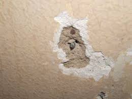 Patching Plaster Walls Ask The Builder Patching Plaster Walls Repairing Plaster Walls Plaster Walls