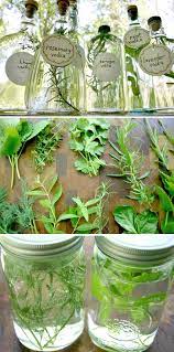 Diy Herb Infused Vodkas Infused Vodka Infused Liquors Herbs