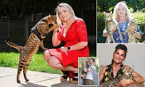 The average price range of a male f6 savannah cat is 1000 dollars to 4000 dollars. As A Savannah Cat Terrorises A Posh Neighbourhood Meet The Women Who Say Their Moggies Are Purrfect Daily Mail Online