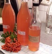 Das Perfekte Ebereschen Vogelbeerapfelsirup Rezept Mit Einfacher Schritt Fur Schritt Anleitung Die Ebereschen Vo Rezepte Eberesche Geschenke Aus Der Kuche