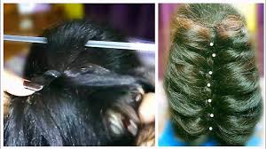 Entdecke rezepte, einrichtungsideen, stilinterpretationen und andere ideen zum ausprobieren. Bangladeshi Hairstyle Khopa