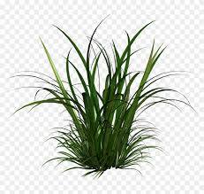 See more ideas about garden coloring pages, coloring pages, colorful garden. Free Icons Png Tall Grass Clipart Free Transparent Png Clipart Images Download