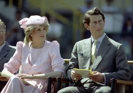 Princess anne is patron of more than 200 organisations (image: The Reason Princess Diana Didn T Get Along With Prince Charles Sister