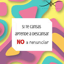 Frases Motivadoras Chart Instagram Pie Chart