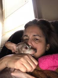 Chihuahua not eating or drinking