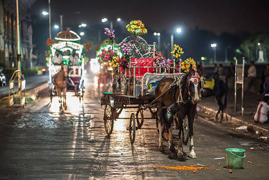 90+ Mumbai Equitation Stock Photos, Pictures & Royalty-Free Images - iStock