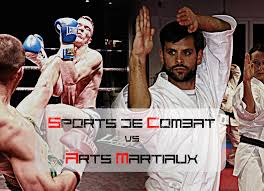 Sports De Combat Vs Arts Martiaux Quelle Est La Difference Mmartial