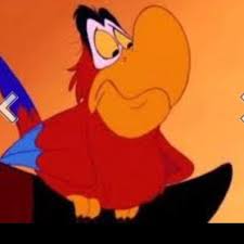 Day 7 Favorite Sidekick July 25 Iago I Love The Name Iago And He S A Good Sidekick Aladdin Disney Birds Disney Aladdin