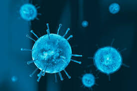 Image result for global killer avian flu