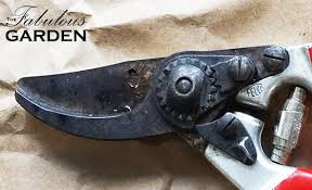 We did not find results for: How To Clean Secateurs The Fabulous Garden