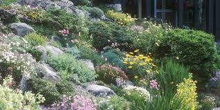 How To Create A Rock Garden Rock Garden Landscaping With Rocks Rock Garden Landscaping