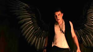 The main characters often steal in order to survive and to get to where they need. Maximum Ride Trailer Maximum Ride Metacritic