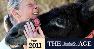 A caring operation that's run for donkeys' years